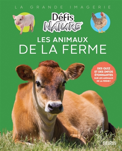 A la découverte des animaux...
