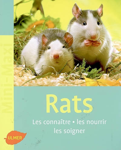 Rats: les connaître, les nourrir, les soigner