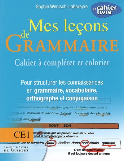 Mes leçons de grammaire CE1 : cahier à compléter et colorier : pour structurer les connaissances en grammaire, vocabulaire, orthographe et conjugaison