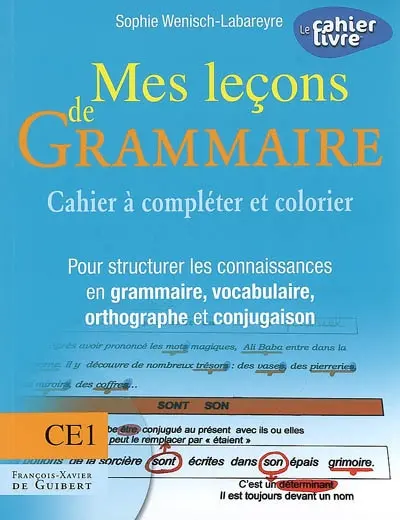 Mes leçons de grammaire CE1 : cahier à compléter et colorier : pour structurer les connaissances en grammaire, vocabulaire, orthographe et conjugaison