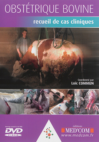 obstétrique bovine : recueil de cas cliniques