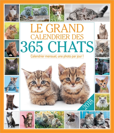 Le grand calendrier des 365 chats 2018 : calendrier mensuel, une photo par jour !