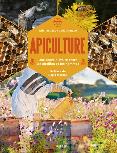 Apiculture : une brève histoire entre les abeilles et les hommes