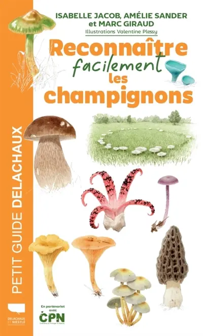 Reconnaître facilement les champignons