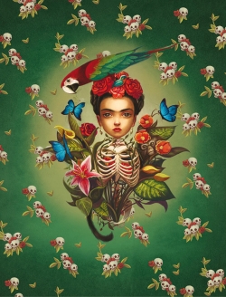 Le carnet Frida