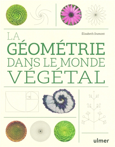 La géométrie dans le monde...