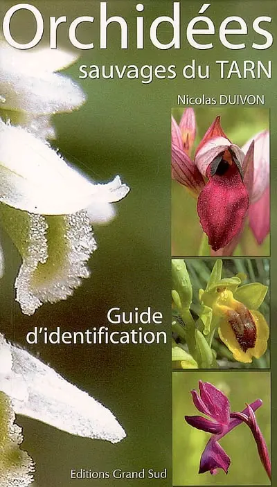 Orchidées sauvages du Tarn : guide pratique d'identification