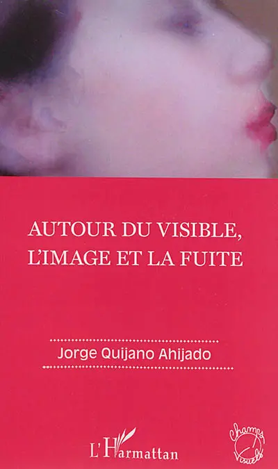 Autour du visible, l'image et la fuite
