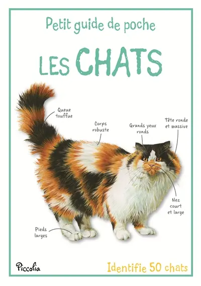 Les chats : identifie 50 chats