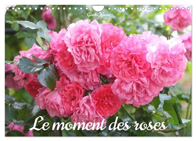 Le moment des roses...