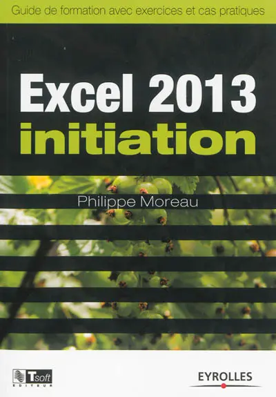 Excel 2013 initiation : guide de formation avec exercices et cas pratiques Excel 2013 initiation : guide de formation avec exercices et cas pratiques