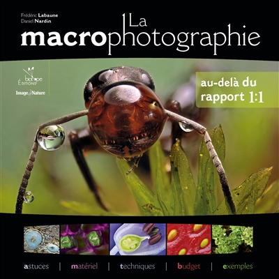 La macrophotographie : au-delà du rapport 1-1