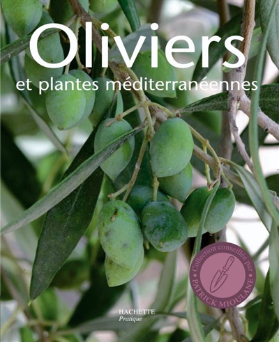 Oliviers et plantes méditerranéennes : les conseils d'un expert pour cultiver des plantes méditerranéennes sous un climat doux
