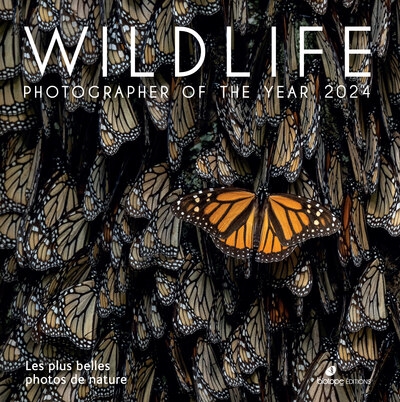 Wildlife photographer of the year 2024 : les plus belles photos de nature