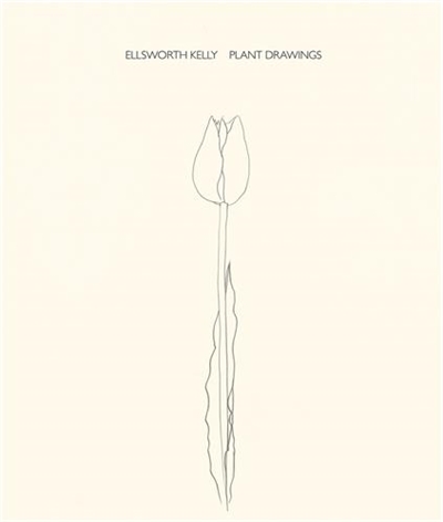 Ellsworth Kelly Plant Drawings