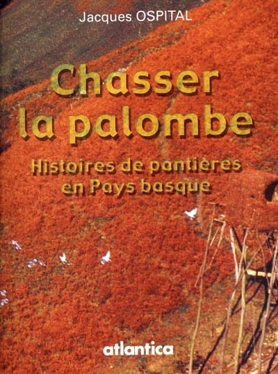 Chasser la palombe : histoire de pantière au Pays basque