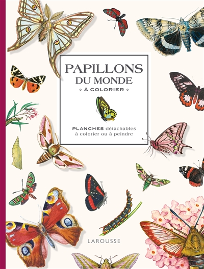 Papillons du monde à colorier : planches détachables à colorier ou à peindre