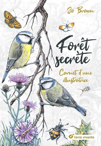 Forêt secrète : carnet d'une illustratrice