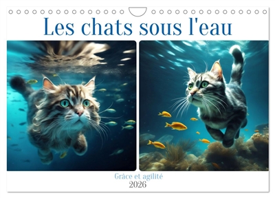Les chats sous l'eau (Calendrier mural 2026 DIN A4 vertical), CALVENDO calendrier mensuel : Découvrez la grâce aquatique de nos amis félins.