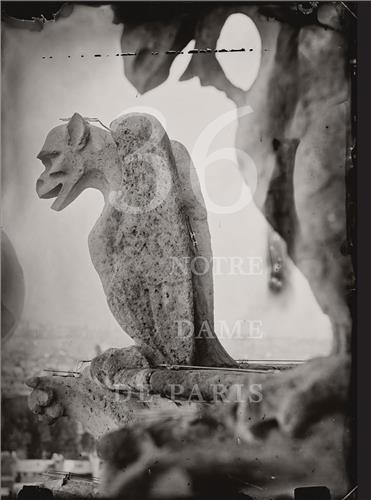 Tomas van Houtryve 36 Views of Notre Dame