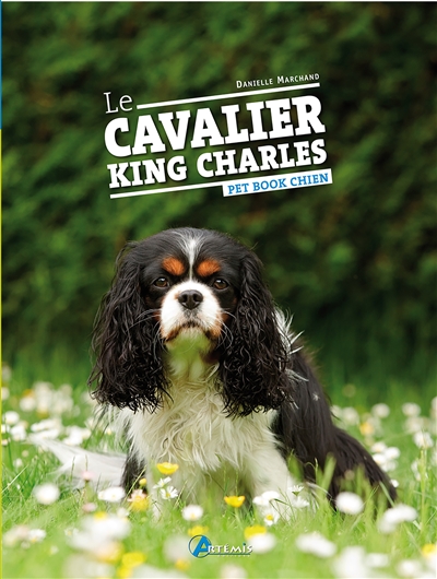 Le Cavalier King Charles