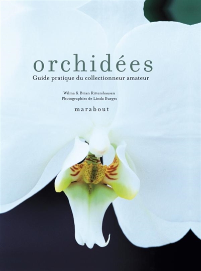 Orchidées : guide pratique du collectionneur pour les sélectionner et les cultiver