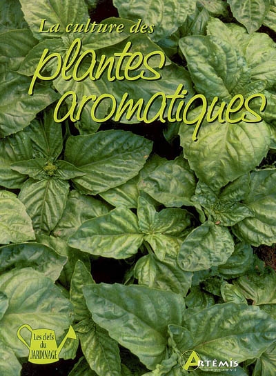 La culture des plantes aromatiques