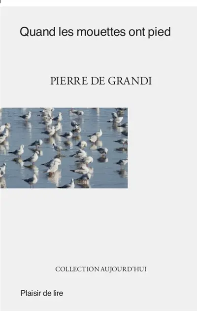 Quand les mouettes ont pied