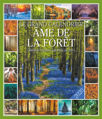 Ame de la forêt : le grand calendrier 2020 : calendrier mensuel, une photo par jour !