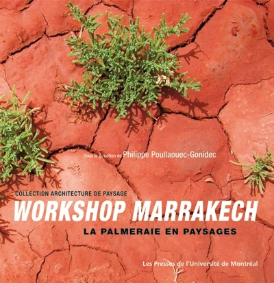 Workshop Marrakech : la palmeraie en paysages