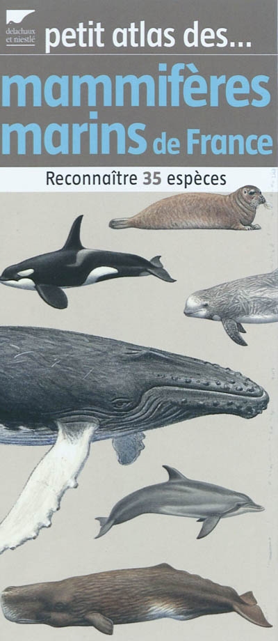 Petit atlas des mammifères marins de France : reconnaître 35 espèces