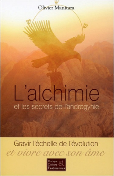 L'alchimie et les secrets de l'androgynie : gravir l'échelle de l'évolution et vivre avec son âme