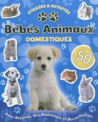 Bébés animaux domestiques