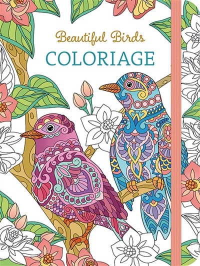 Beautiful birds : coloriage