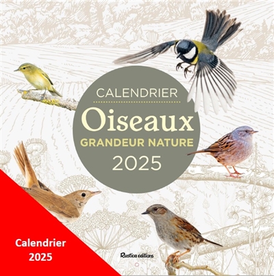 Oiseaux grandeur nature :...