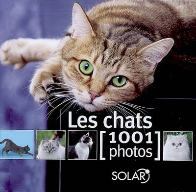 Les chats 1001 photos