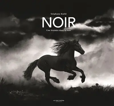 Noir : une histoire dans la nuit