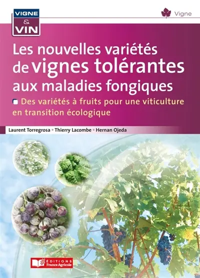 Vignes tolérantes aux maladies fongiques : des variétés à fruits pour une viticulture en transition agroécologique