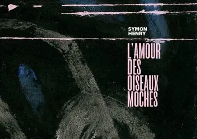 L'amour des oiseaux moches