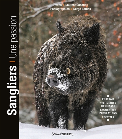Sangliers : une passion