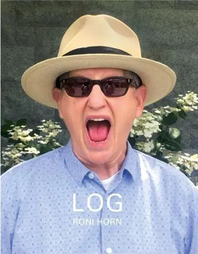 Roni Horn Log