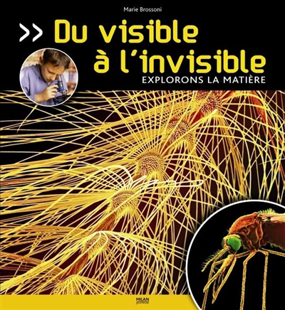 Du visible à l'invisible : explorons la matière