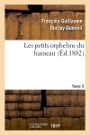 Les petits orphelins du hameau.Tome 3,Edition 2