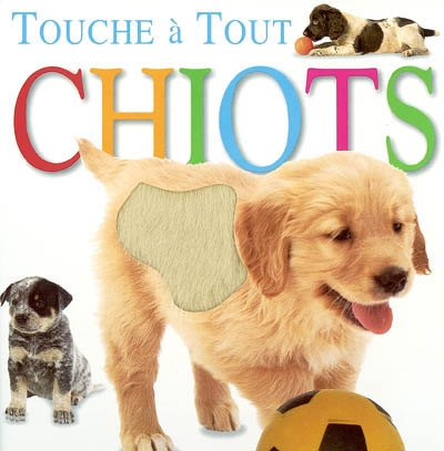 Chiots