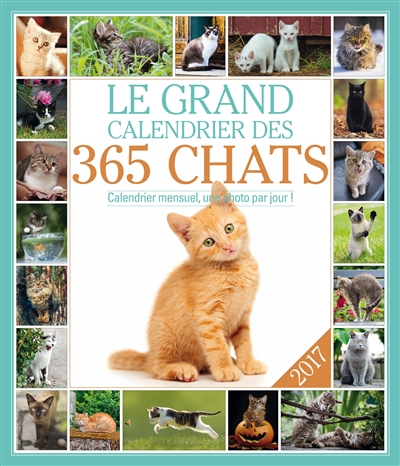 Le grand calendrier des 365 chats 2017 : calendrier mensuel, une photo par jour !
