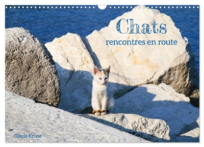 Chats : rencontres en route (Calendrier mural 2025 DIN A3 vertical), CALVENDO calendrier mensuel : En Europe du Sud, on trouve des chats errants presque partout