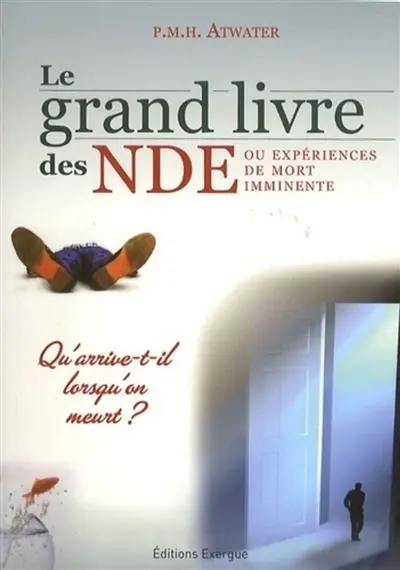 Le grand livre des NDE ou Expériences de mort imminente
