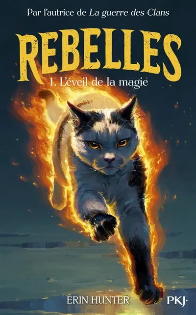 Rebelles. Vol. 1. L'éveil de la magie