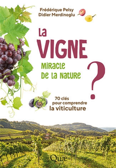 La vigne, miracle de la nature ? : 70 clés pour comprendre la viticulture