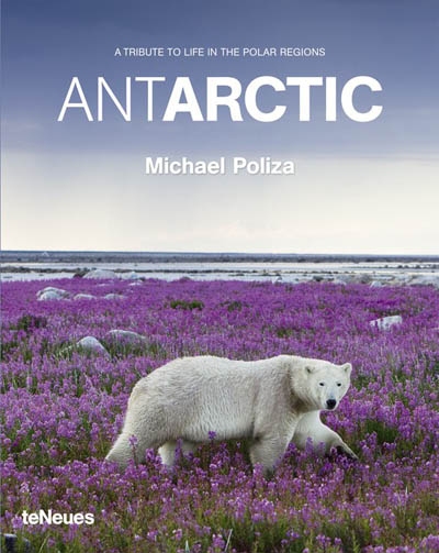 Antarctic : a tribute to life in the polar regions